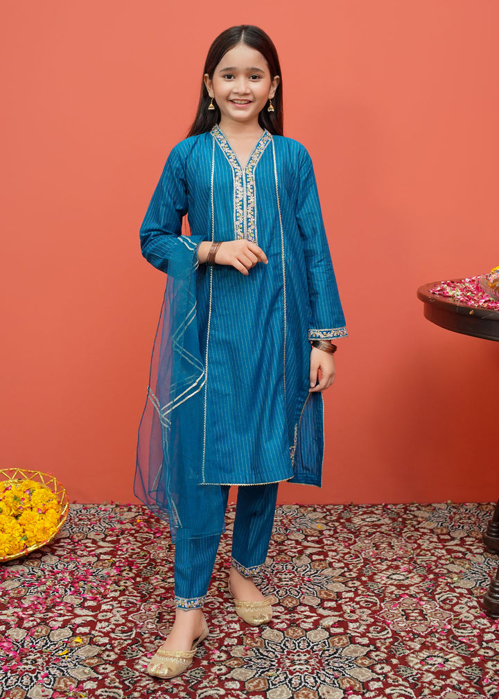 Cotton Embroidered 3 Piece Suit