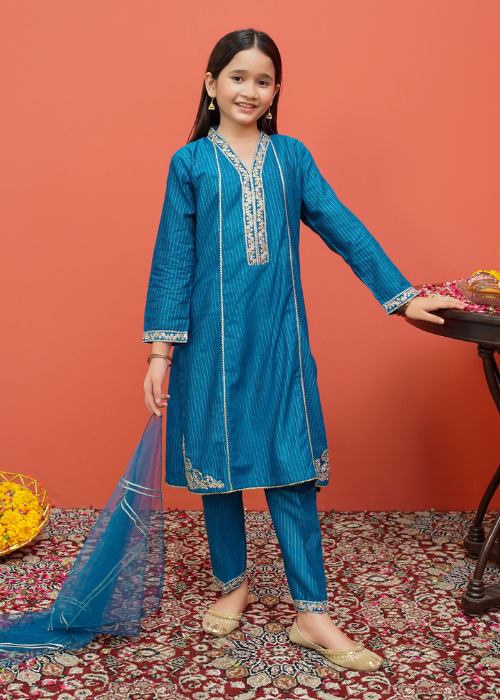 Cotton Embroidered 3 Piece Suit