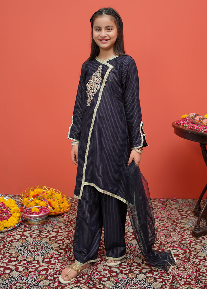 Black Net Cotton Embroidered 3 Piece Suit