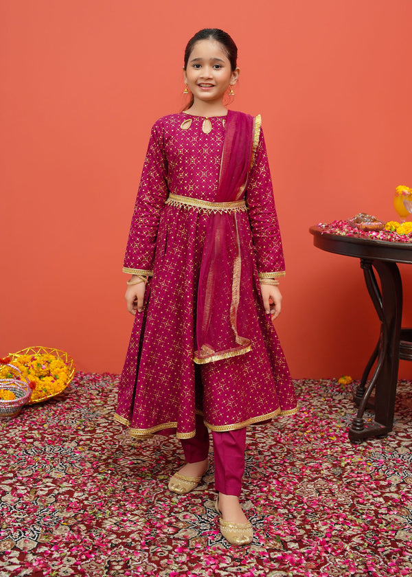 Cotton Embroidered 3 Piece Suit