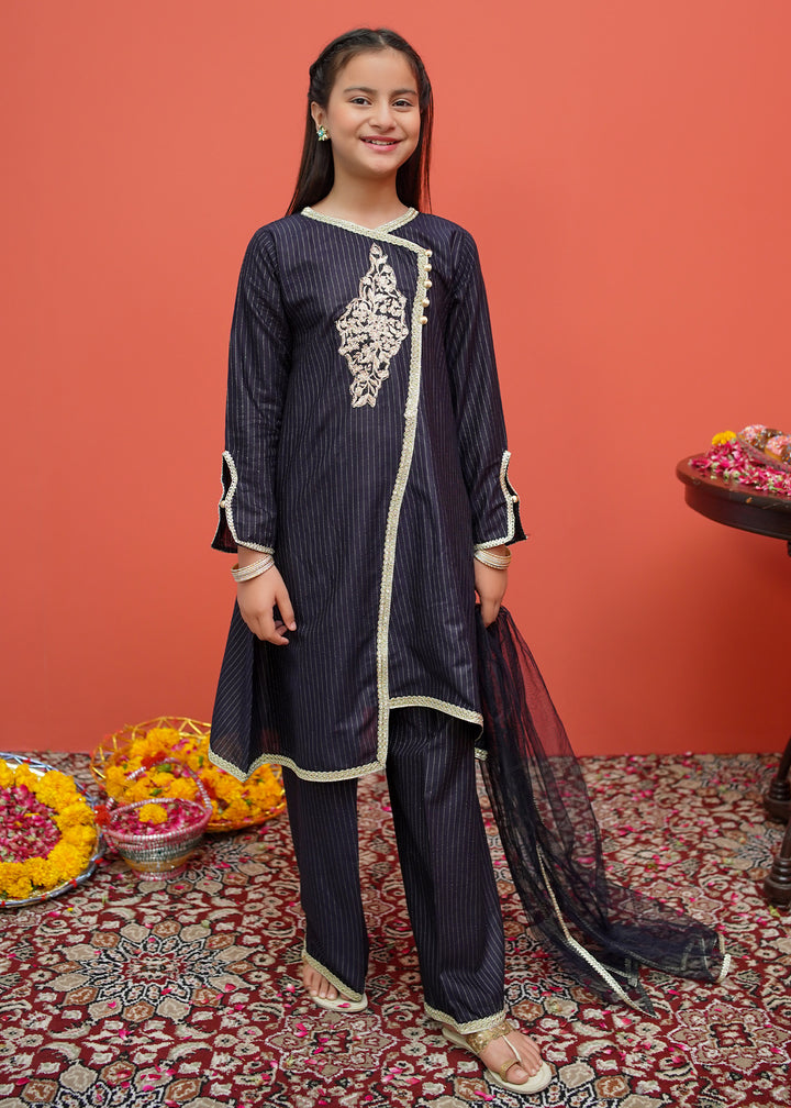 Black Net Cotton Embroidered 3 Piece Suit