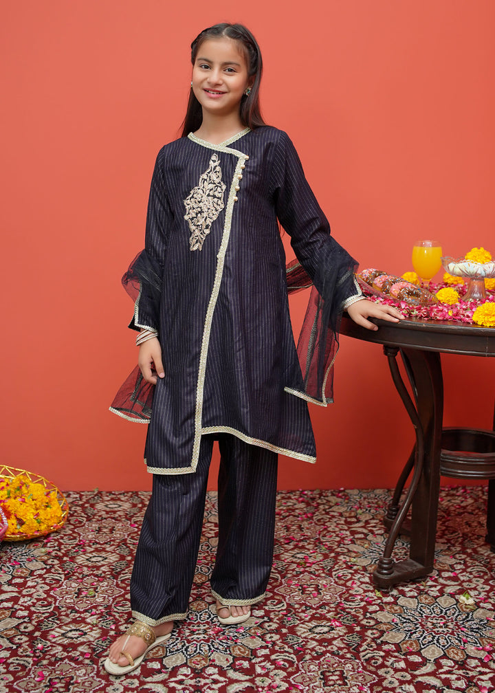 Black Net Cotton Embroidered 3 Piece Suit