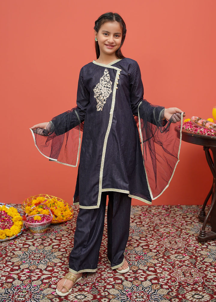 Black Net Cotton Embroidered 3 Piece Suit