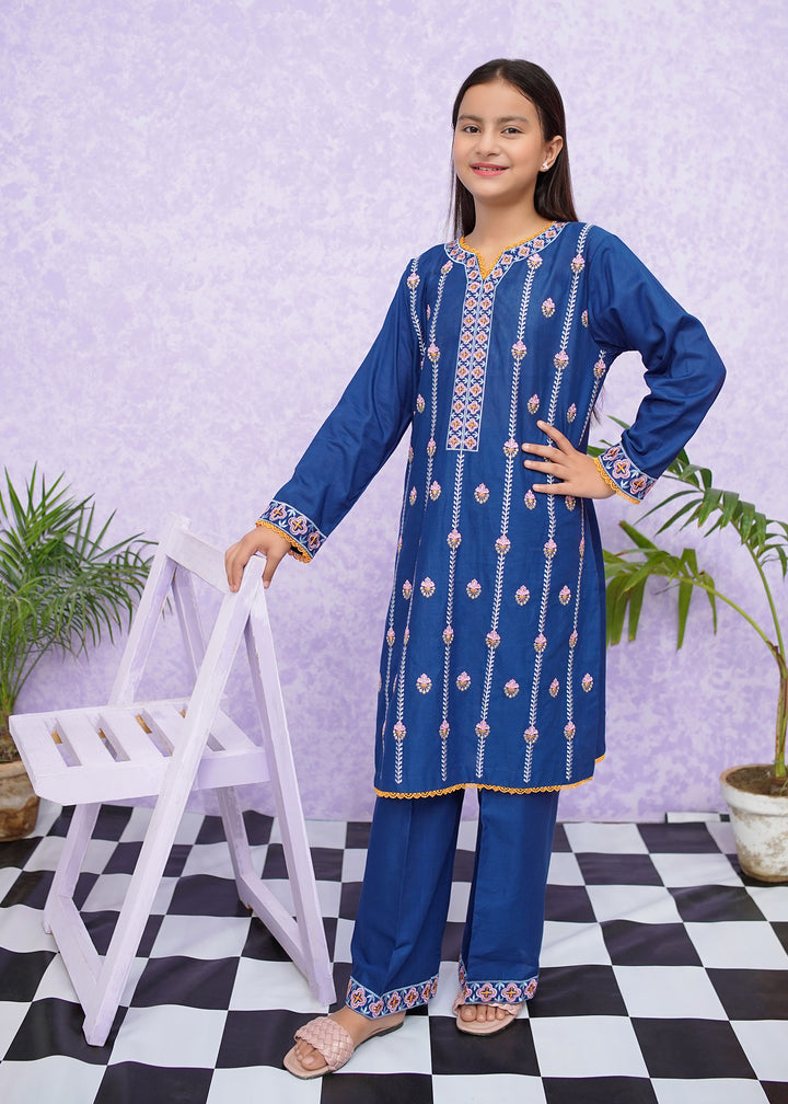 Blue Cotton Embroidered in Pakistan