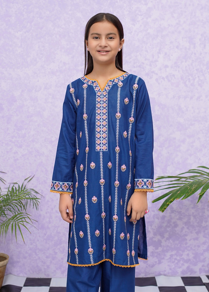 Blue Cotton Embroidered in Pakistan