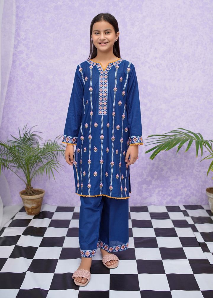 Blue Cotton Embroidered in Pakistan