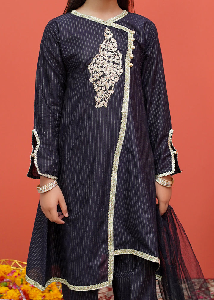 Black Net Cotton Embroidered 3 Piece Suit